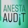 Аватар для Elena_Anesta_Audit